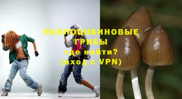 МДПВ Медвежьегорск
