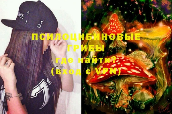 винт Алексин