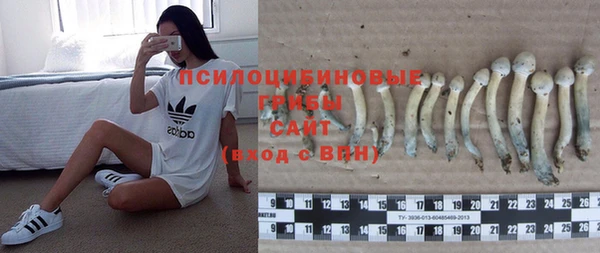 винт Алексин