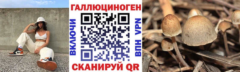 Псилоцибиновые грибы мухоморы  Сим 